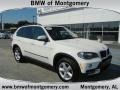 Alpine White - X5 3.0si Photo No. 1