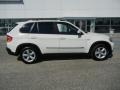Alpine White - X5 3.0si Photo No. 2