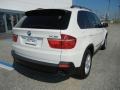 Alpine White - X5 3.0si Photo No. 4