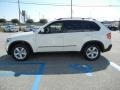 Alpine White - X5 3.0si Photo No. 7