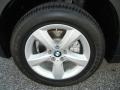Alpine White - X5 3.0si Photo No. 11