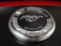 2012 Ford Mustang C/S California Special Coupe Badge and Logo Photo