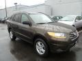 Espresso Brown - Santa Fe GLS AWD Photo No. 5