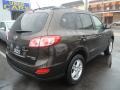 Espresso Brown - Santa Fe GLS AWD Photo No. 6