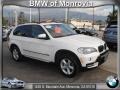 Alpine White - X5 xDrive30i Photo No. 1