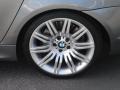 2009 BMW 5 Series 550i Sedan Wheel and Tire Photo