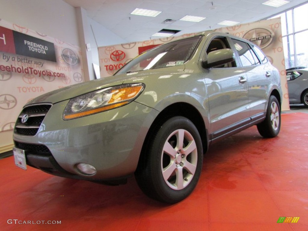 2008 Santa Fe Limited 4WD - Platinum Sage / Beige photo #1