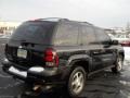 2008 Black Chevrolet TrailBlazer LS 4x4  photo #2