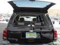 Black - TrailBlazer LS 4x4 Photo No. 14