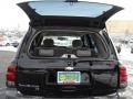 2008 Black Chevrolet TrailBlazer LS 4x4  photo #14