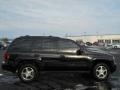 2008 Black Chevrolet TrailBlazer LS 4x4  photo #16