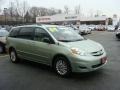 Silver Pine Mica 2009 Toyota Sienna LE AWD