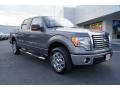 2010 Sterling Grey Metallic Ford F150 XLT SuperCrew  photo #1