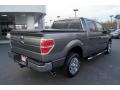 2010 Sterling Grey Metallic Ford F150 XLT SuperCrew  photo #3