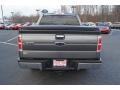 2010 Sterling Grey Metallic Ford F150 XLT SuperCrew  photo #4