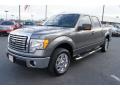 2010 Sterling Grey Metallic Ford F150 XLT SuperCrew  photo #6