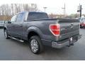 2010 Sterling Grey Metallic Ford F150 XLT SuperCrew  photo #36
