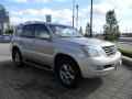 Savannah Beige Metallic - GX 470 Photo No. 3
