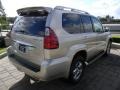 Savannah Beige Metallic - GX 470 Photo No. 5