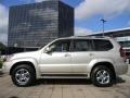 Savannah Beige Metallic - GX 470 Photo No. 9