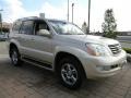 Savannah Beige Metallic - GX 470 Photo No. 3