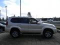 Savannah Beige Metallic - GX 470 Photo No. 4
