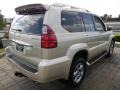 Savannah Beige Metallic - GX 470 Photo No. 5