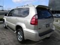 Savannah Beige Metallic - GX 470 Photo No. 8