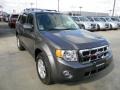 Sterling Gray Metallic - Escape XLT Photo No. 3