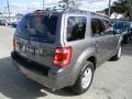 Sterling Gray Metallic - Escape XLT Photo No. 5