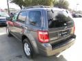 Sterling Gray Metallic - Escape XLT Photo No. 7