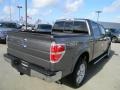 Sterling Gray Metallic - F150 Lariat SuperCrew 4x4 Photo No. 5