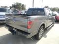 2012 Sterling Gray Metallic Ford F150 FX2 SuperCrew  photo #5