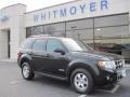 Black 2008 Ford Escape Limited 4WD