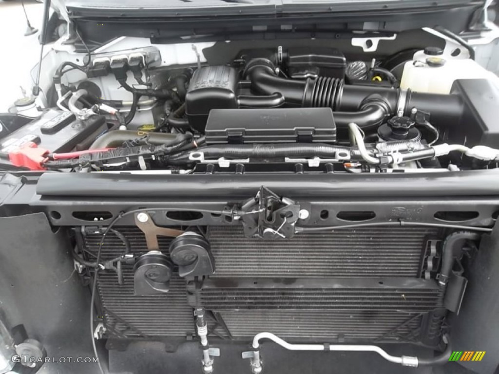 2010 Ford F150 Platinum SuperCrew 5.4 Liter Flex-Fuel SOHC 24-Valve VVT Triton V8 Engine Photo #59793998