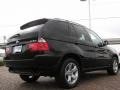 Jet Black - X5 3.0i Photo No. 5