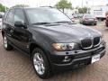 Jet Black - X5 3.0i Photo No. 15