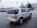 Brilliant Silver Metallic - ML 320 4Matic Photo No. 2