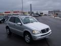 Brilliant Silver Metallic - ML 320 4Matic Photo No. 7