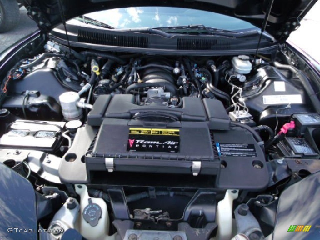 2000 Pontiac Firebird Trans Am WS-6 Coupe 5.7 Liter OHV 16-Valve LS1 V8 Engine Photo #59800662