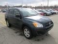 Black Forest Pearl - RAV4 4WD Photo No. 8