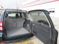 Black Forest Pearl - RAV4 4WD Photo No. 10
