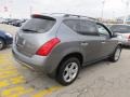 Platinum Metallic - Murano SL AWD Photo No. 6