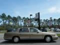 Gold Firemist - DeVille Sedan Photo No. 6