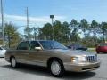 Gold Firemist - DeVille Sedan Photo No. 7
