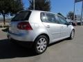 Reflex Silver Metallic - Rabbit 4 Door Photo No. 5