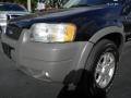 2002 Black Clearcoat Ford Escape XLT V6 4WD  photo #7