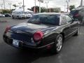 Evening Black - Thunderbird Premium Roadster Photo No. 10