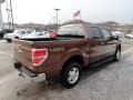 2011 Golden Bronze Metallic Ford F150 XLT SuperCrew 4x4  photo #4