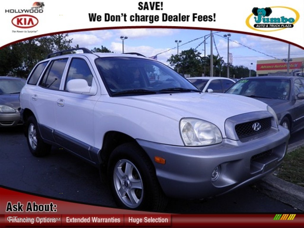 2002 Santa Fe LX AWD - Nordic White / Gray photo #1